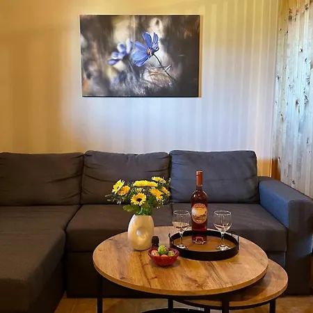 בית נופש Zoe Amaliada
