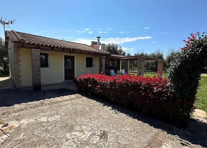 Zoe Αμαλιάδα