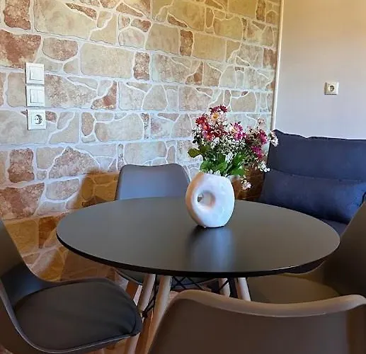 Zoe Αμαλιάδα