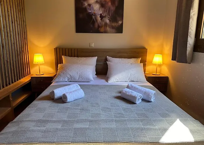 Zoe Αμαλιάδα