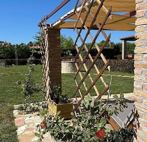 Zoe Αμαλιάδα