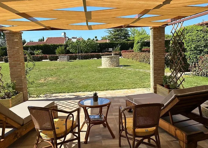 Zoe Αμαλιάδα